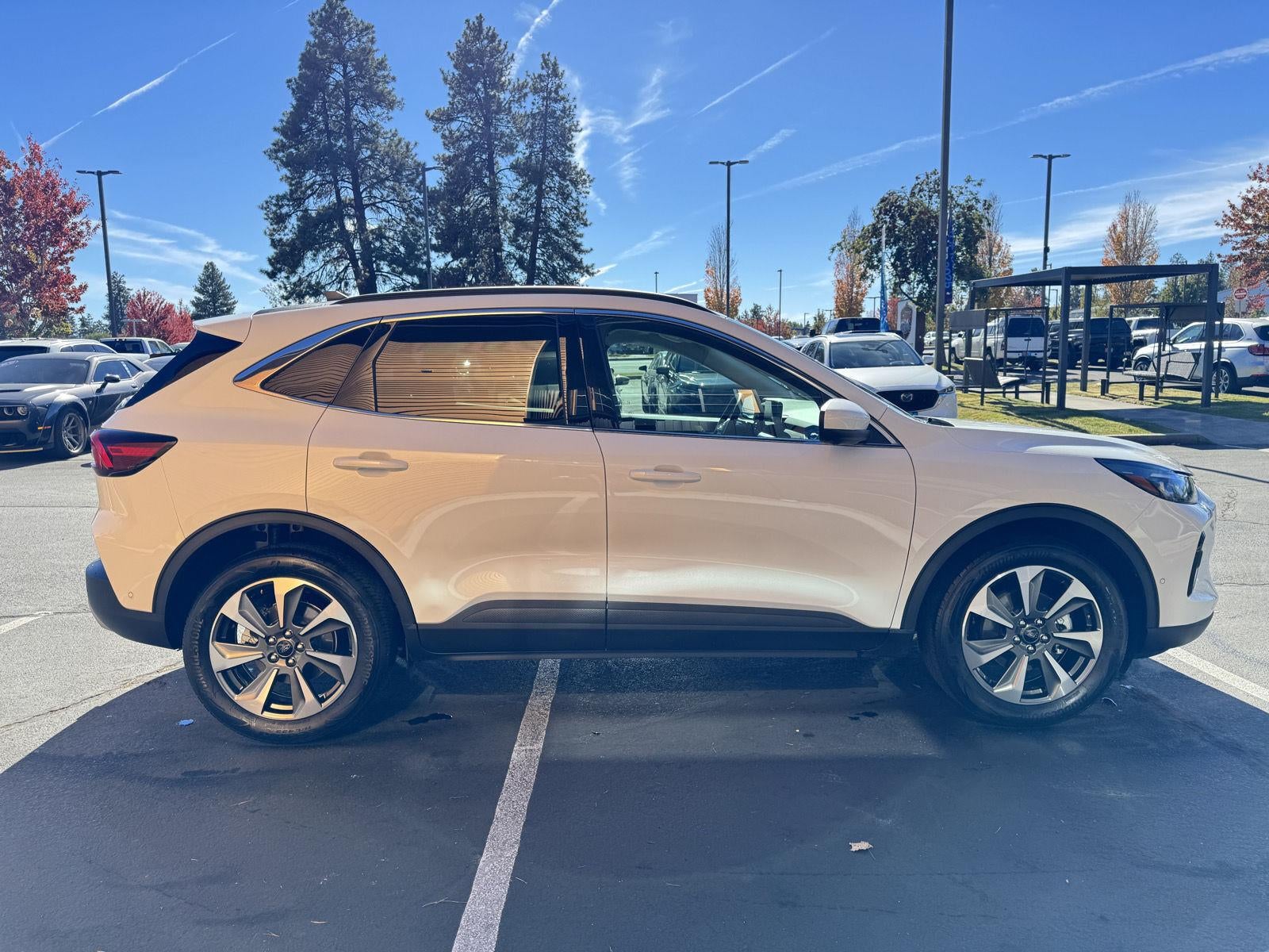 2023 Ford Escape Platinum