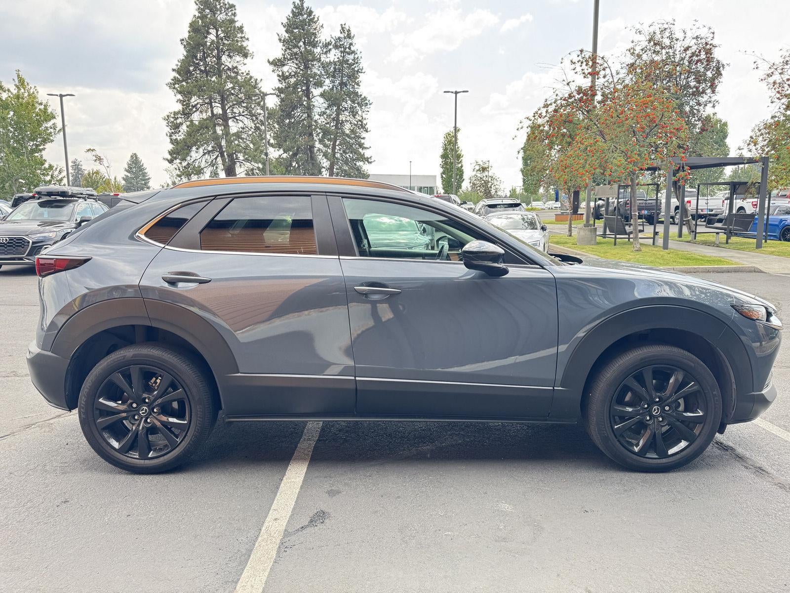 2022 Mazda Mazda Cx-30 2.5 S Carbon Edition