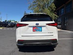 2020 Lexus NX 300h Sport Utility 4D