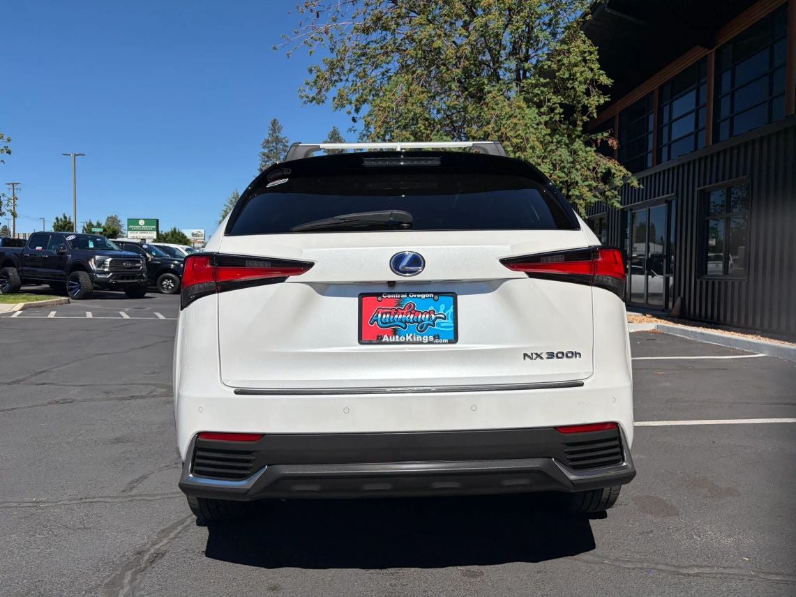 2020 Lexus NX 300h Sport Utility 4D