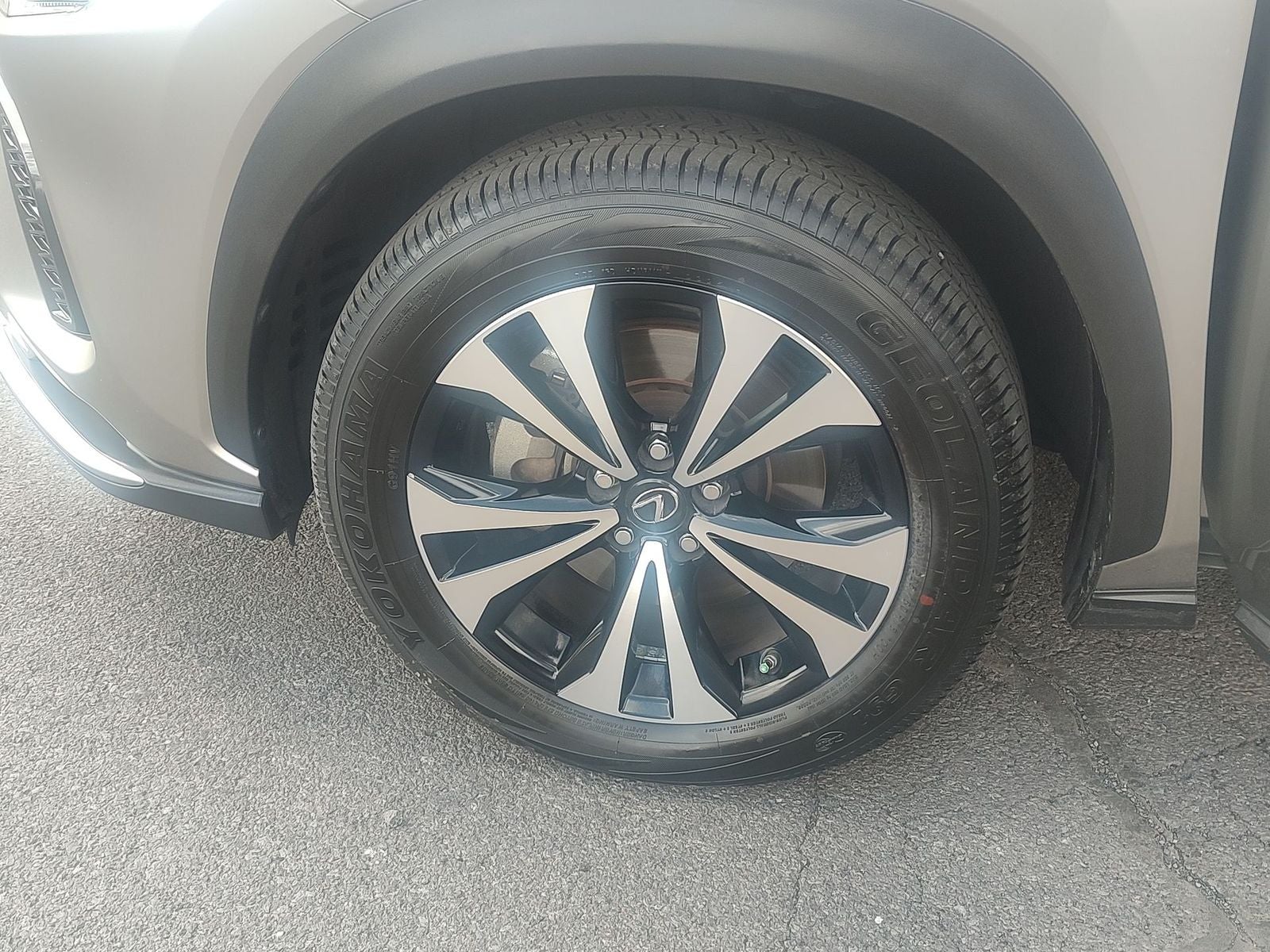 2021 Lexus NX 300 F Sport