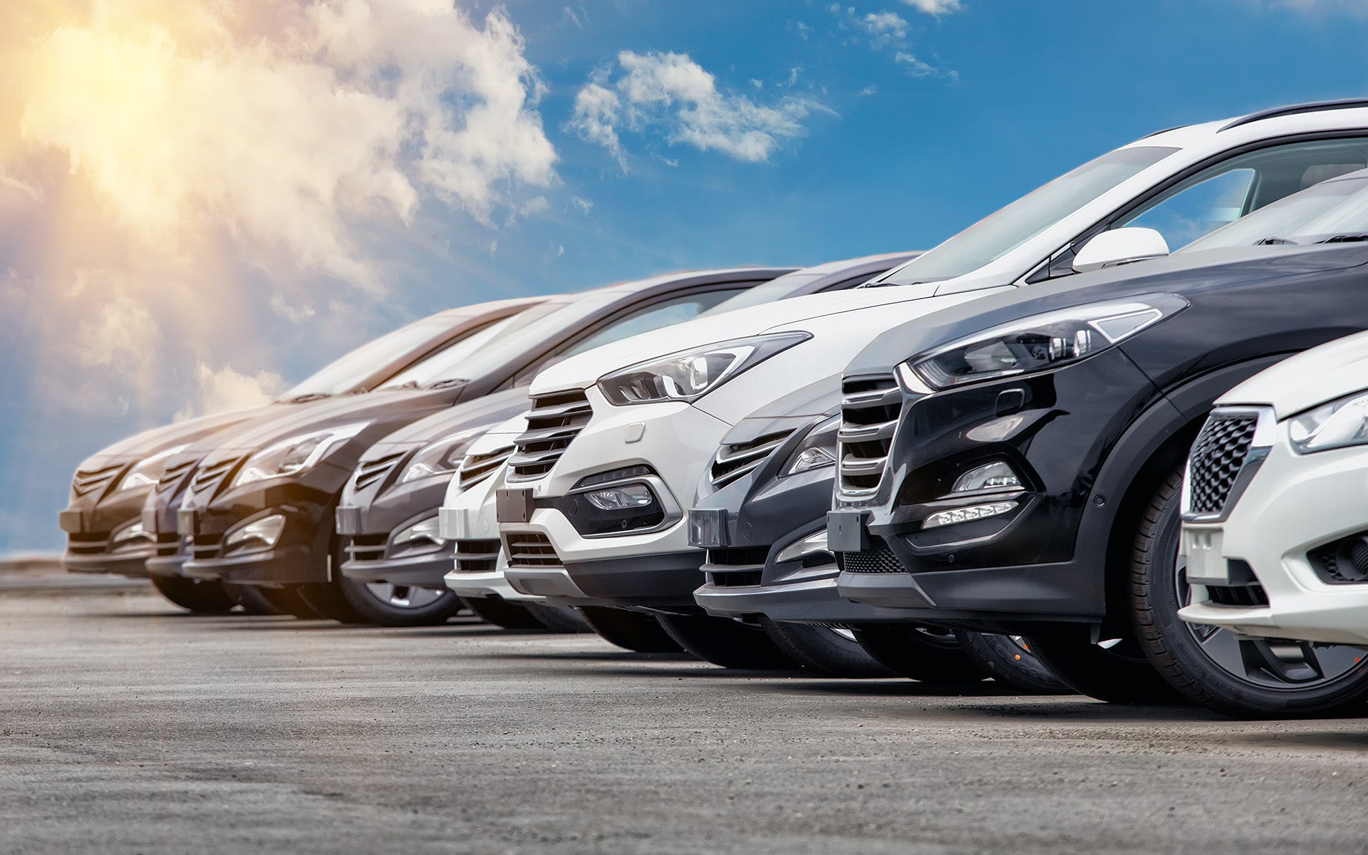 dealership lot